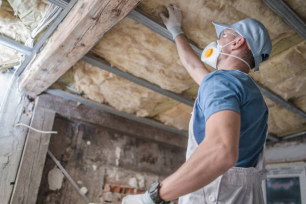 Best Insulation Removal  in Clearfield, PA