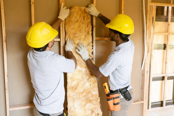 Best Professional Insulation Contractor  in Clearfield, PA